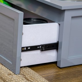 Stacja karmienia PawHut, 2 miski do karmienia, 2 litry każda, stal nierdzewna, z szufladą, dla średnich psów, szary, 60 x 30 x 24cm