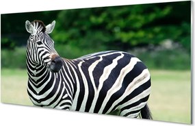 Panel szklany do Kuchni Zebra na tle Afrykańskiej Równiny