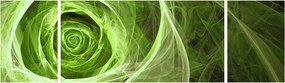 Obraz - Abstrakcyjny zielony róż (170x50 cm)