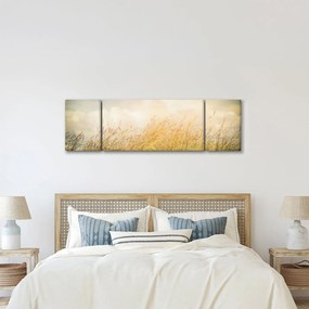 Obraz - Pole jesienią (170x50 cm)