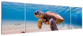 Obraz żółwia w oceanie (170x50 cm)