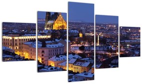 Obraz - Katedra św. Piotra i Pawła, Brno, Czechy (125x70 cm)
