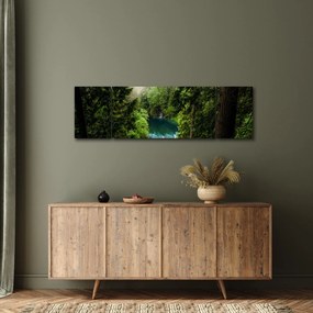 Obraz - Przestrzeń między drzewami (170x50 cm)