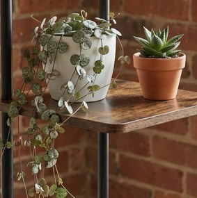 Kwietnik stojący wysoki na 5 kwiatów RIMOZA, 30 x 30 x 106 cm