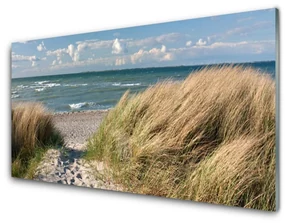 Obraz Szklany Plaża Morze Trawa Krajobraz