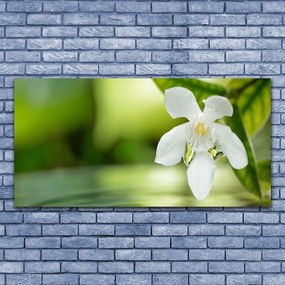 Zdjęcie na płótnie Duet Kwiatu i Zieleni