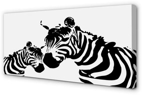 Zdjęcie na płótnie Malowane Zebry