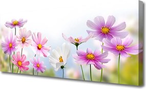 Obraz canvas Wiosenna Łąka na Płótnie