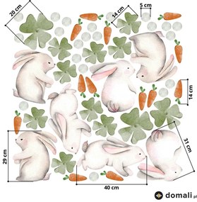 Naklejki na ścianę - Króliki