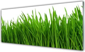 Panel Kuchenny Poranna Rosa na Trawie