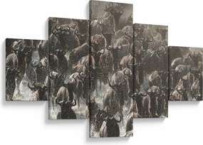 Obraz - Stado antylop gnu (125x70 cm)