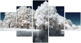 Obraz - Śnieżnobiałe drzewa (125x70 cm)