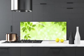 Panel Szklany Organiczny Motyw Liści