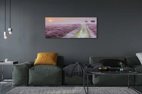 Obraz na płótnie Pole Wrzosów