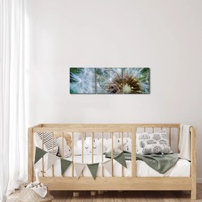 Obraz przekwitniętego dmuchawca (z zegarem) (90x30 cm)