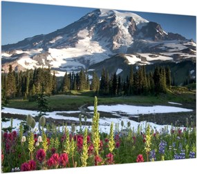 Obraz - Mount Rainier (70x50 cm)