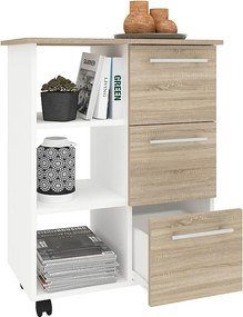 Wózek kuchenny serwujący wózek Rolls Esilo L