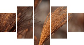 Obraz - Kortaderia (125x70 cm)