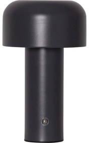 Szara lampa stołowa LED (wysokość 21,5 cm) Bobby – Star Trading