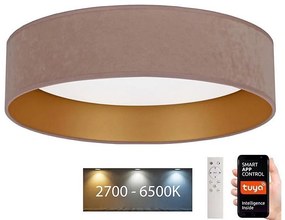 Brilagi - LED Ściemnialne oświetlenie VELVET SMART LED/24W/230V Wi-Fi Tuya + pilot