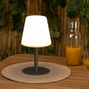 Lampa ogrodowa ZACK, 30 cm