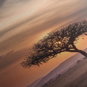 Obraz zachodu słońca w Tanzanii (z zegarem) (90x30 cm)