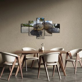 Obraz żółwia (125x70 cm)