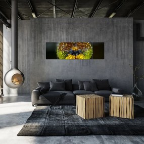 Szczegółowy obraz oczu owadów (170x50 cm)
