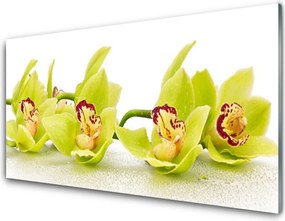 Szkło do Kuchni na Ścianę Harmonijny Ogród Kwiatowy