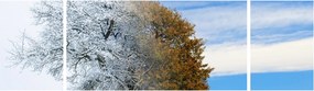 Obraz - Zmiana pór roku (170x50 cm)