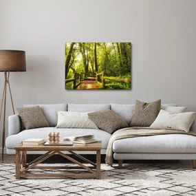 Obraz omszałej dżungli (70x50 cm)