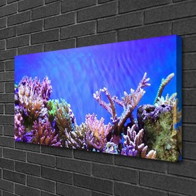 Obraz canvas Podwodny Świat Rafy Koralowej