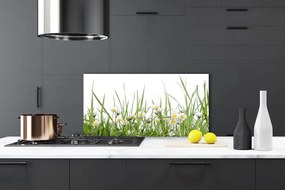 Panel Kuchenny Polana Pełna Stokrotek