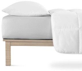 Jasnoszare dżersejowe prześcieradło z gumką 140x200 cm Boxspring – Andrea Simone