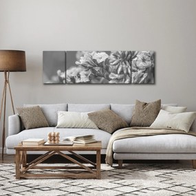 Obraz - Suszone kwiaty (170x50 cm)