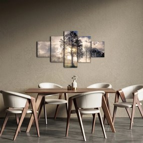 Obraz drzewa we mgle (125x70 cm)