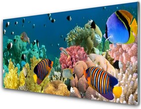 Panel Kuchenny Podwodny Świat Rafy
