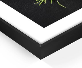 Obraz 50x70 cm Rosemary – Styler