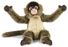 Rappa Pluszowy chapan 30 cm ECO-FRIENDLY