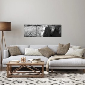 Obraz - Noga słonia (z zegarem) (90x30 cm)