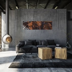 Obraz leżących psów (170x50 cm)