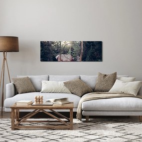 Obraz - Łoś na polanie (z zegarem) (90x30 cm)
