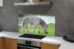 Szklany Panel Zebra