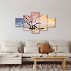 Obraz drzewa w oceanie (125x70 cm)