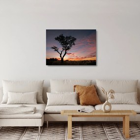 Obraz na szkle - Drzewo i czerwonawe odcienie (70x50 cm)