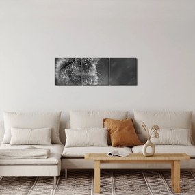 Obraz - Wiewiórka zimą (z zegarem) (90x30 cm)