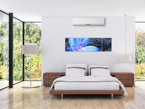 Obraz szczegółu kwiatu (170x50 cm)