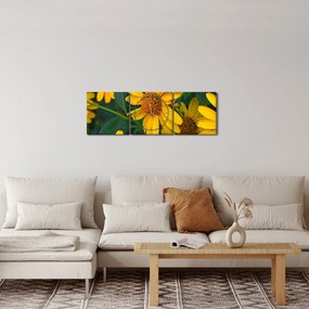 Obraz żółtych kwiatów (z zegarem) (90x30 cm)