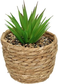 Dekoracja Aloe 20cm