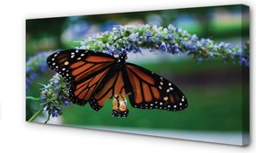 Obraz na płótnie Motyl na Kwiatuszku